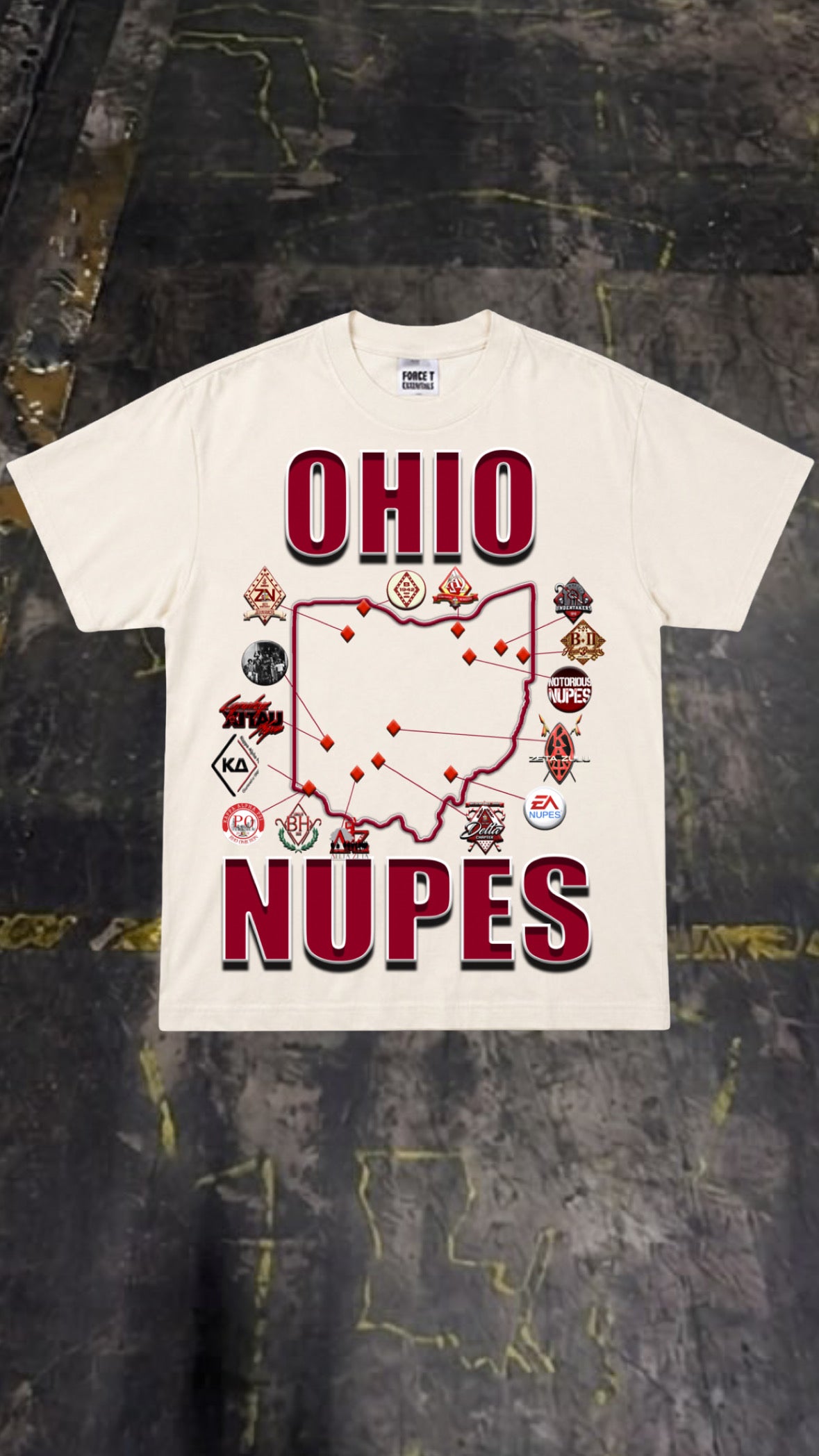 OHIO UNDERGRAD NUPES