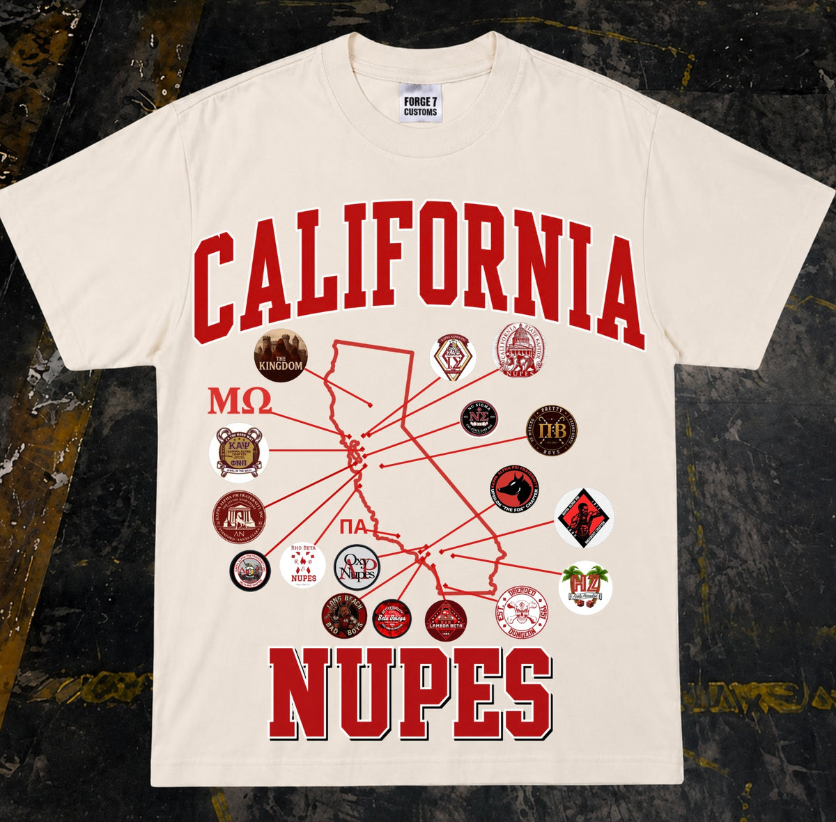 CALIFORNIA UNDERGRAD NUPES