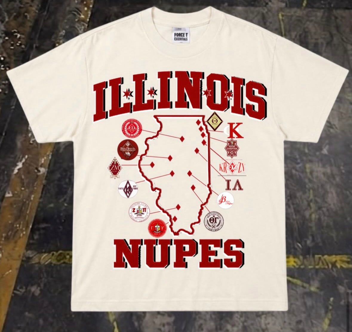 ILLINOIS UNDERGRADUATE
